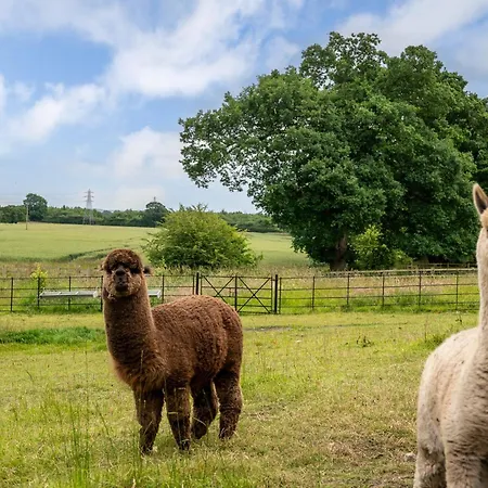 3 Bed In York Oc-89538