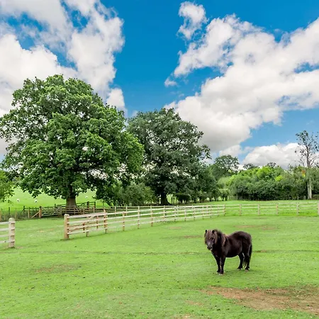 3 Bed In York Oc-89538 *