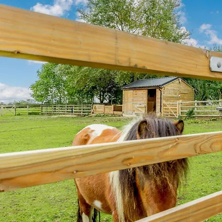 3 Bed In Welburn 89538 펜션 *