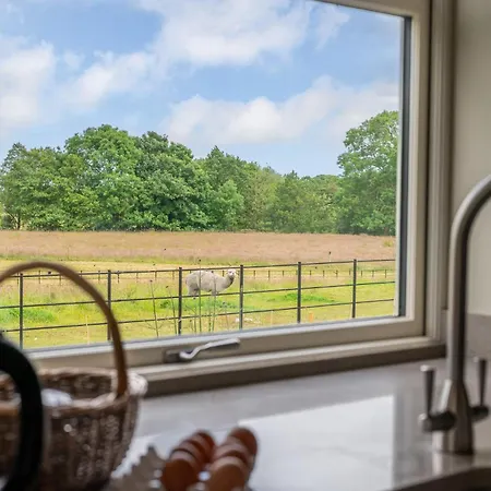 Nyaraló 3 Bed In Welburn 89538